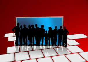 NBA联盟全球球迷互动平台建设研究，nba球迷圈注册